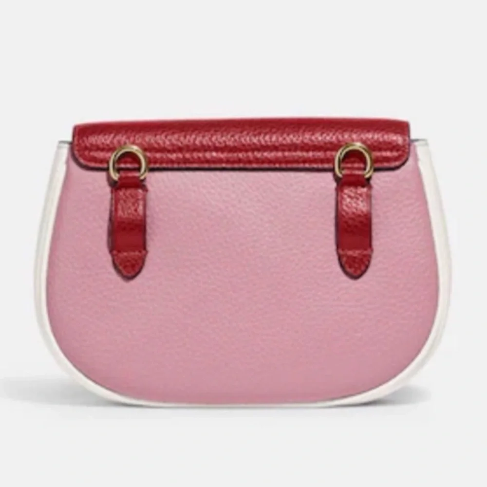 ✨🐹✨Coach Saddle Belt Bag In Colorblock - Picture 3 of 5